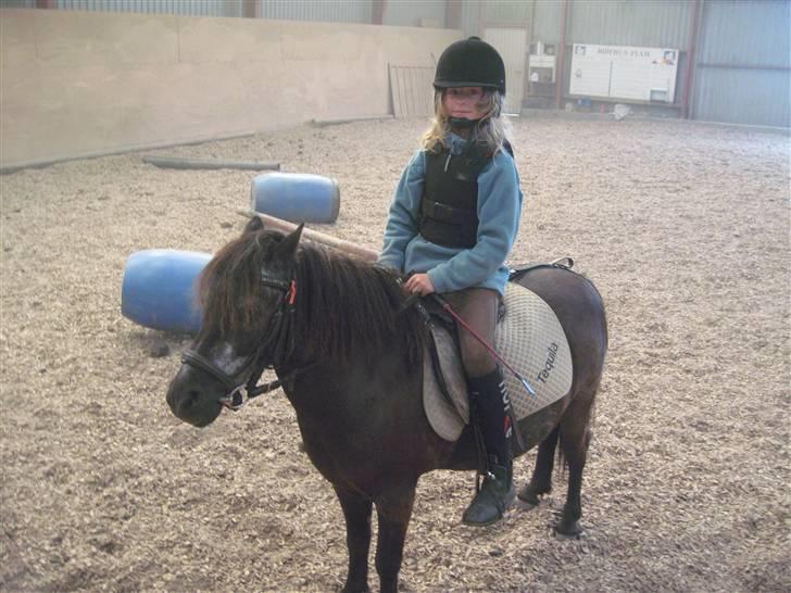 Anden særlig race Tequila. - teqqe og jeg i ridehuset!! billede 5