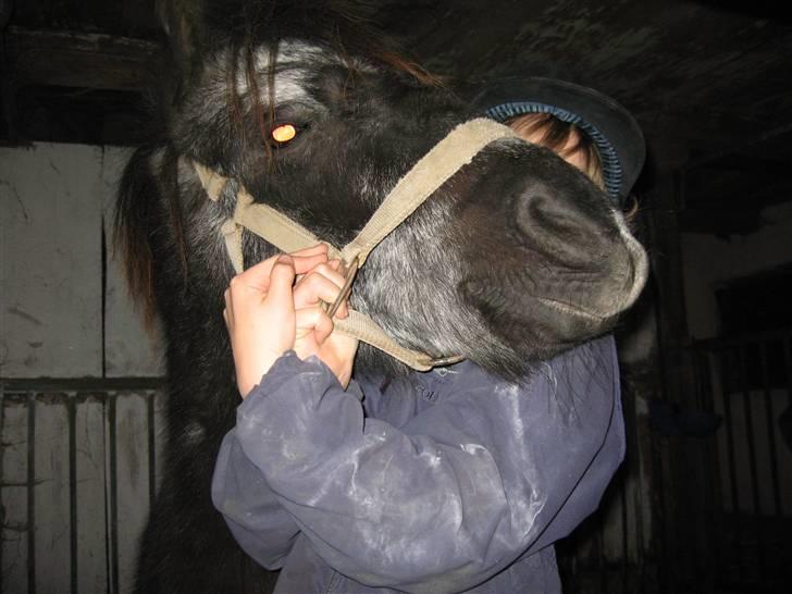 Anden særlig race Tequila. - se mig Emma væk mor du står i vejen :( hah ha elsker det billed ): xD billede 6