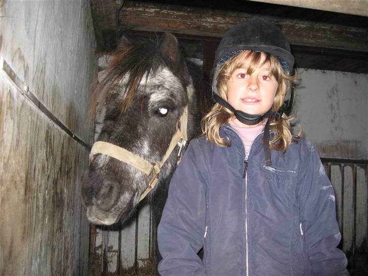 Anden særlig race Tequila. - vi kan nu godt stå pænt ikke ogsåå teqqe billede 7