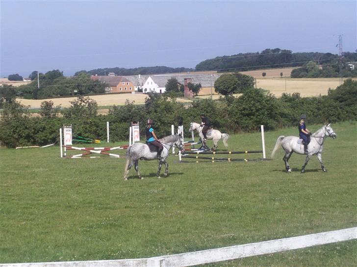 Anden særlig race Miss dulle - mig og dulle`s første gang hos anna ølund billede 8