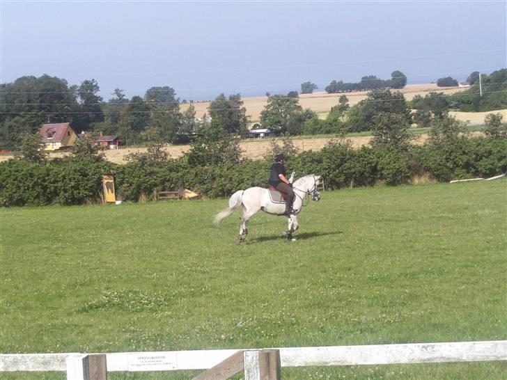 Anden særlig race Miss dulle billede 9