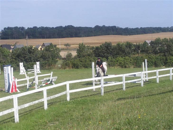 Anden særlig race Miss dulle billede 10