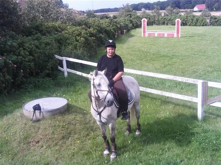 Anden særlig race Miss dulle billede 11