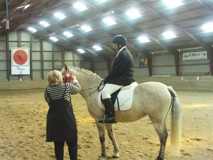 Anden særlig race Miss dulle billede 13