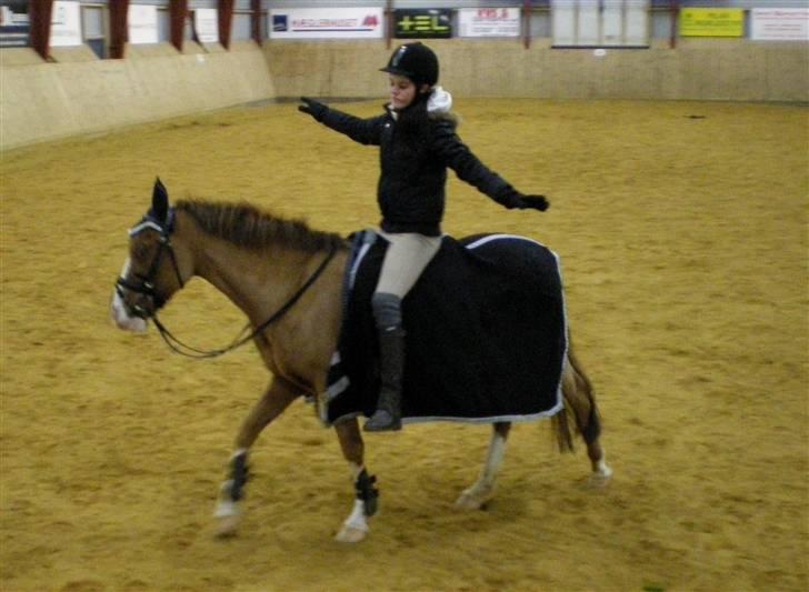 Anden særlig race Prettyboy Findus (LÅNTE)  - Prettyboy du er alt :i billede 5