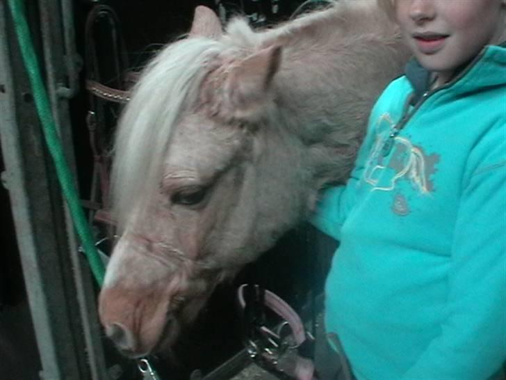 Anden særlig race magic dream  X-part - mig og magic efter en lille ride tur. :) billede 8