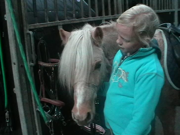 Anden særlig race magic dream  X-part - <3 Foto: dorthe søndergaard billede 9