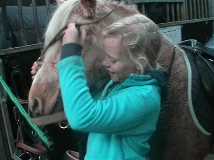 Anden særlig race magic dream  X-part -  på med grimen Foto: dorthe søndergaard billede 12