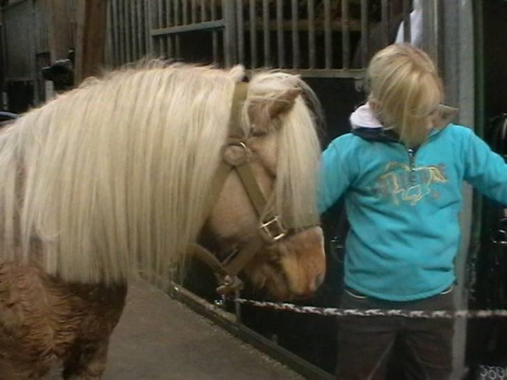 Anden særlig race magic dream  X-part - hihi  billede 13