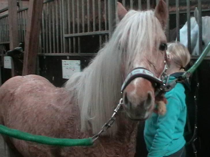 Anden særlig race magic dream  X-part - tak fordi i kigged med.. :) billede 17