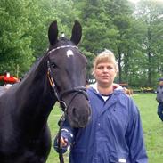 Oldenborg Cassiopeia (Tut)