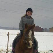 DSP Lillevangs Doublee'Solgt'