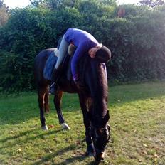 Anden særlig race Salina's Illias R.I.P.<3