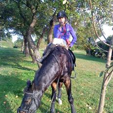 Anden særlig race Salina's Illias R.I.P.<3