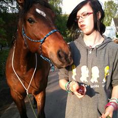 Anden særlig race Ferdinan