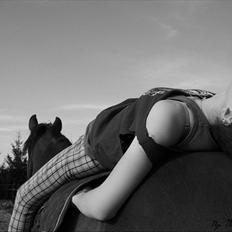 Anden særlig race Ferdinan