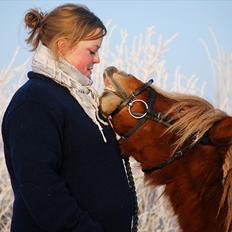 Shetlænder † Pjuske aka. Rufus af Rønhøj †