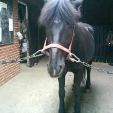 Anden særlig race Beauty :) Ikk min :(