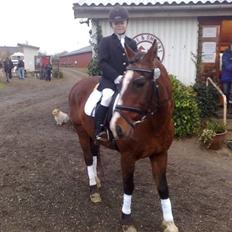 Anden særlig race Max   †DØD†:(