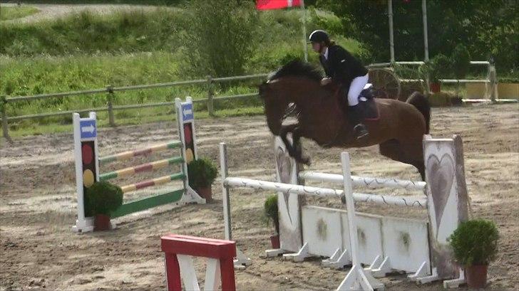 Holstener - Chalien - LA** 2010 billede 10