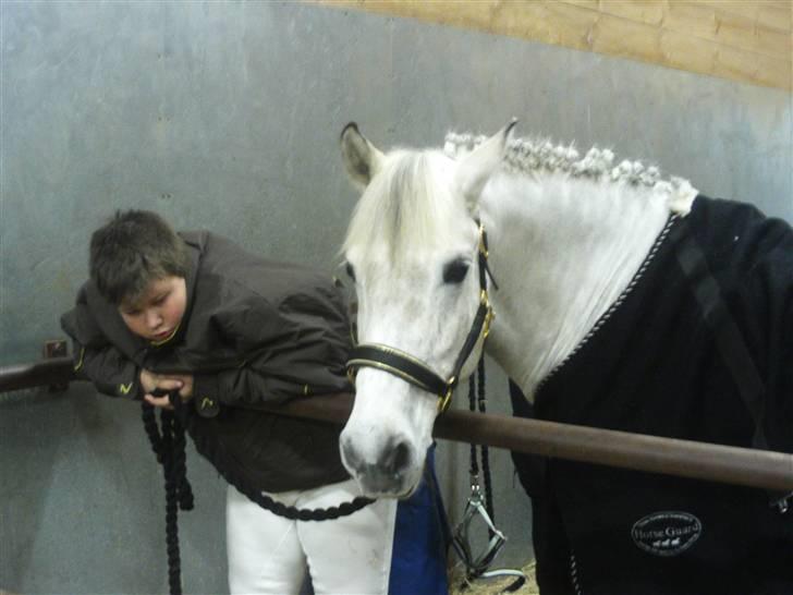 Anden særlig race Miss dulle billede 14