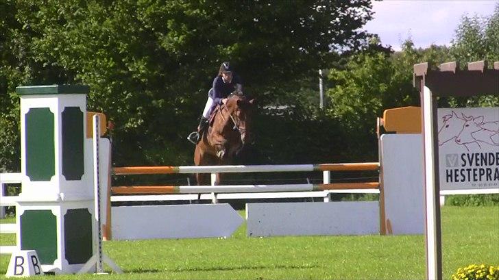 Holstener - Chalien - ULB** 2010 billede 17