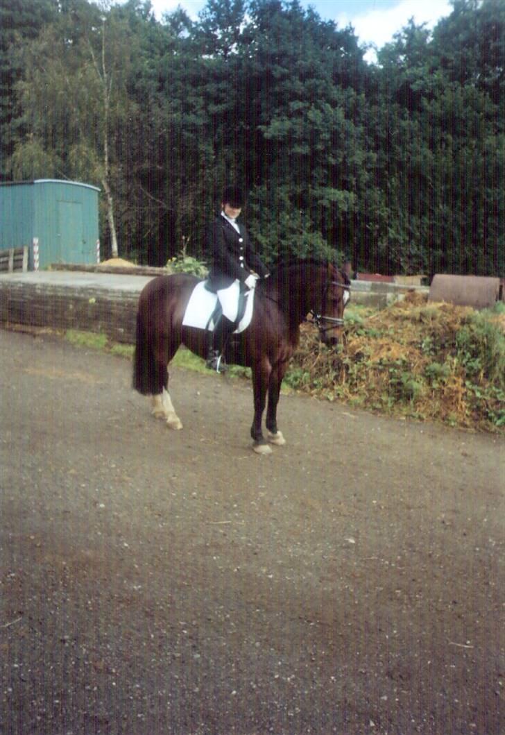 Connemara Susie Magill - Fra sydjysk 2004 billede 6