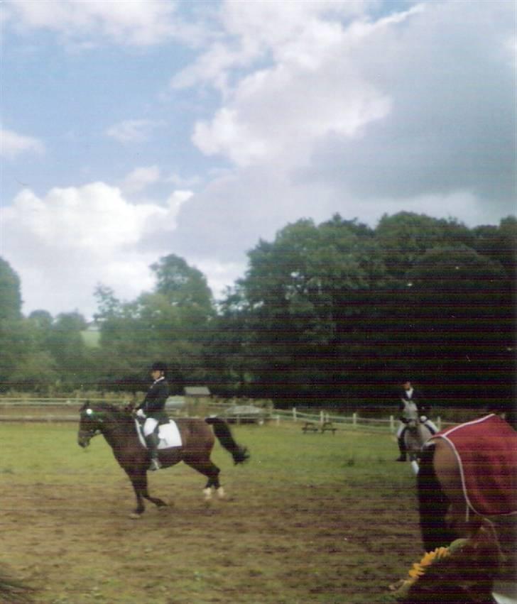 Connemara Susie Magill billede 7