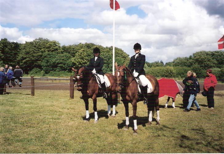 Connemara Susie Magill - Susie Magill og Minusch lige før præmie overrækkelse fra sydjysk individuel 2004  billede 9