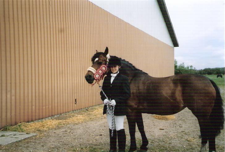 Connemara Susie Magill - Vores første stævne :) Vandt alle 4 klasser efter vi kun havde kendt hinanden i 14 dage.. billede 11