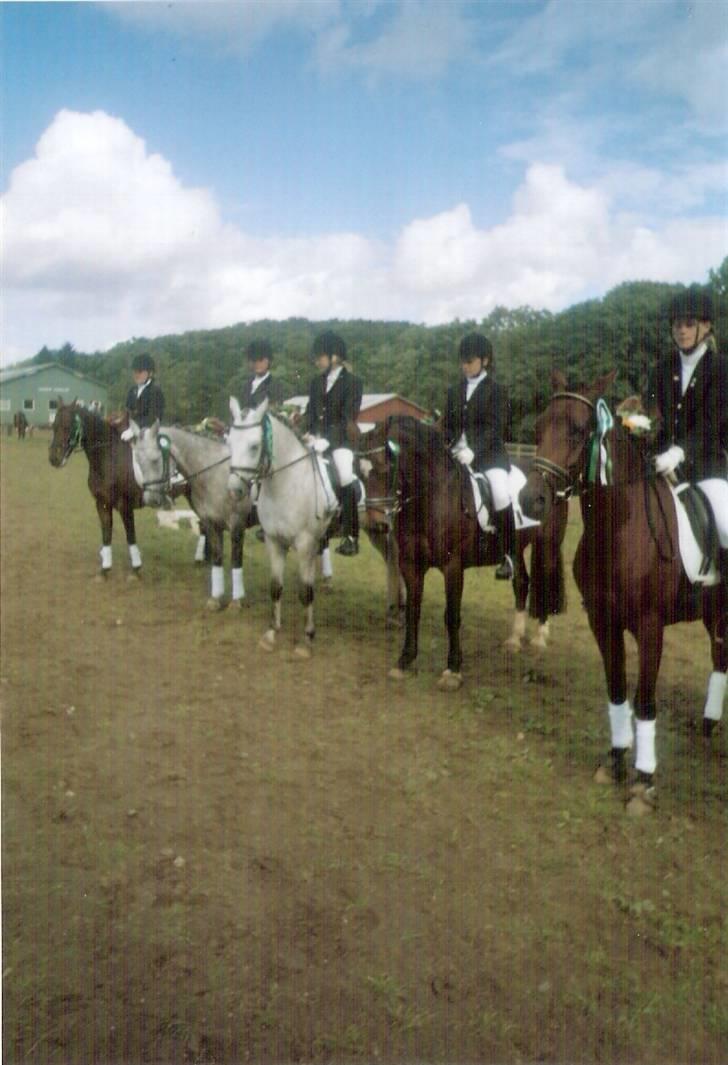 Connemara Susie Magill billede 16