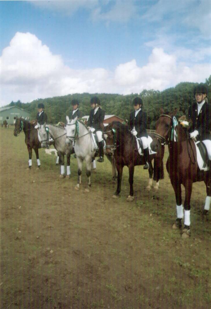 Connemara Susie Magill billede 18