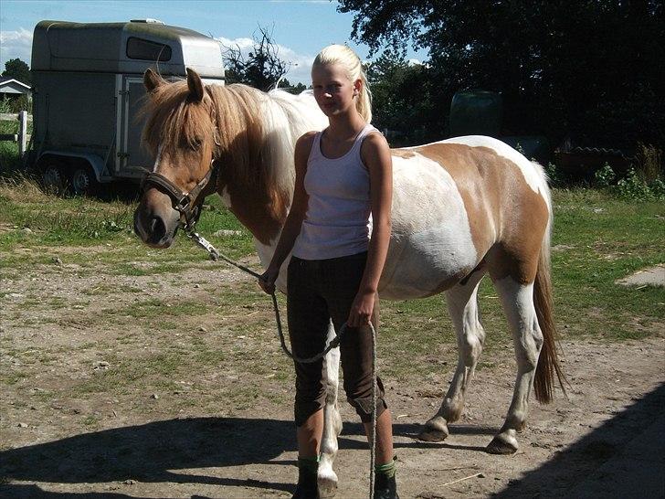 Anden særlig race Sønderstrandens Pepsi [Solgt] - hvor er du dejlig!<3 
Sommerferie 2010 billede 10