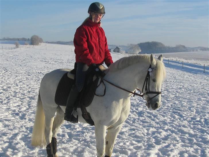 Anden særlig race Mister Elvis *solgt* billede 13