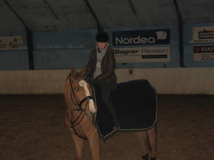 Holstener Clemento 2 - R.I.P :'( - <333333 billede 7