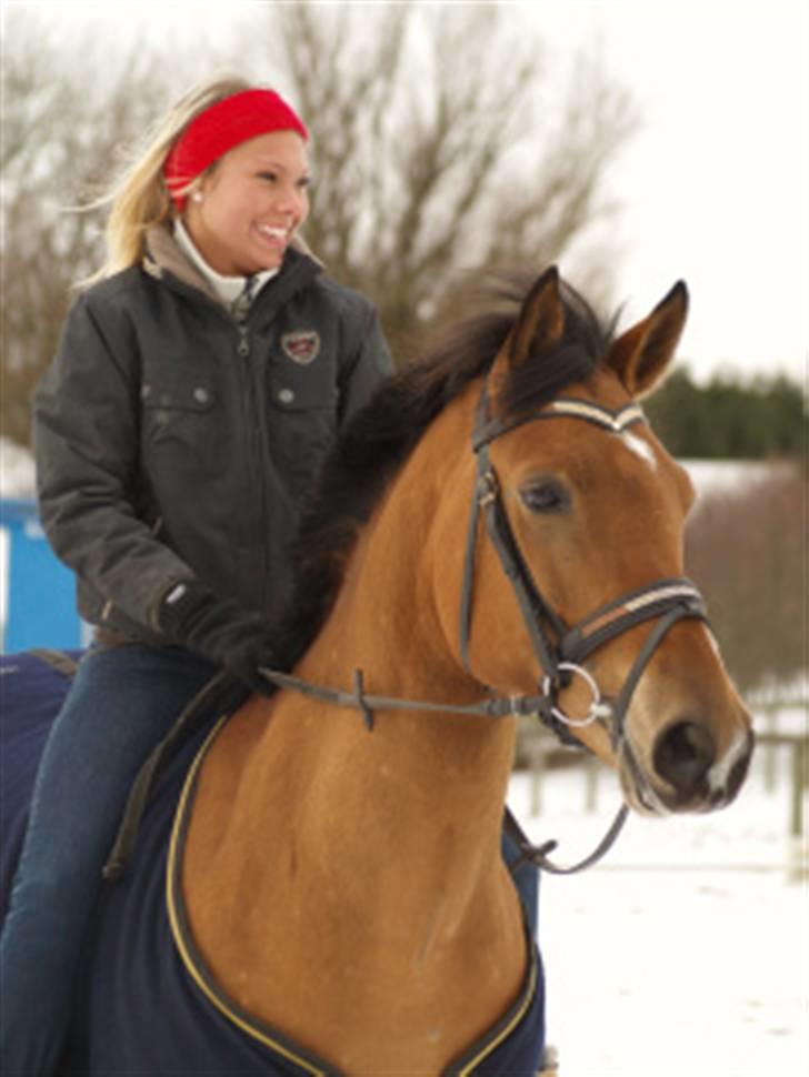 Hollandsk Sportspony Margriet - Solgt billede 19