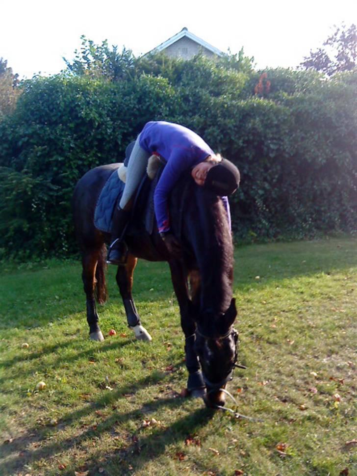 Anden særlig race Salina's Illias R.I.P.<3 - en dejlig sommer dag hved æble gangen foto:josephine billede 2