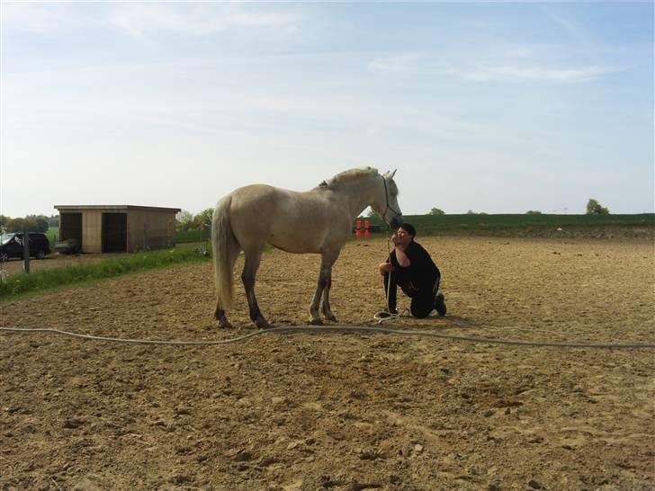 Anden særlig race Miss dulle billede 20