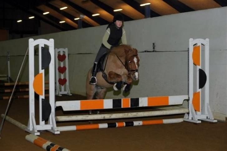 Anden særlig race Lucky Boy <3 - Højdespringning på Tronsøskolen - kom op på 83 cm :) billede 19