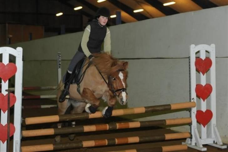 Anden særlig race Lucky Boy <3 - Højdespringning på Tronsøskolen - kom op på 83 cm :) billede 20