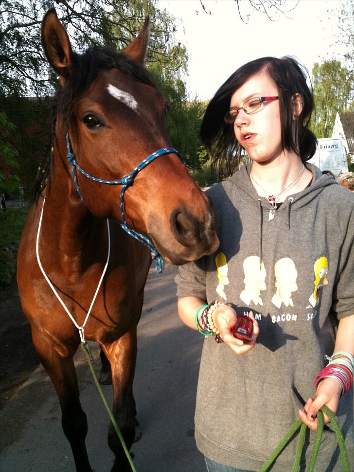 Anden særlig race Ferdinan billede 3