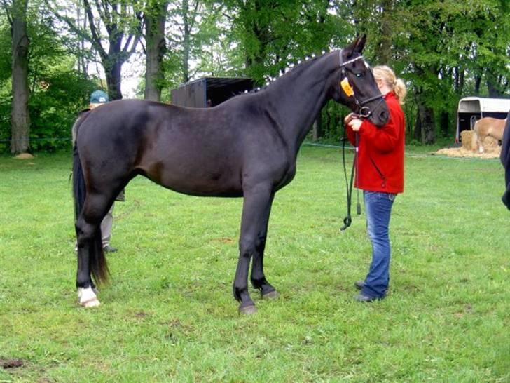 Oldenborg Cassiopeia (Tut) - Fjerritslev dyreskue 2005 billede 5