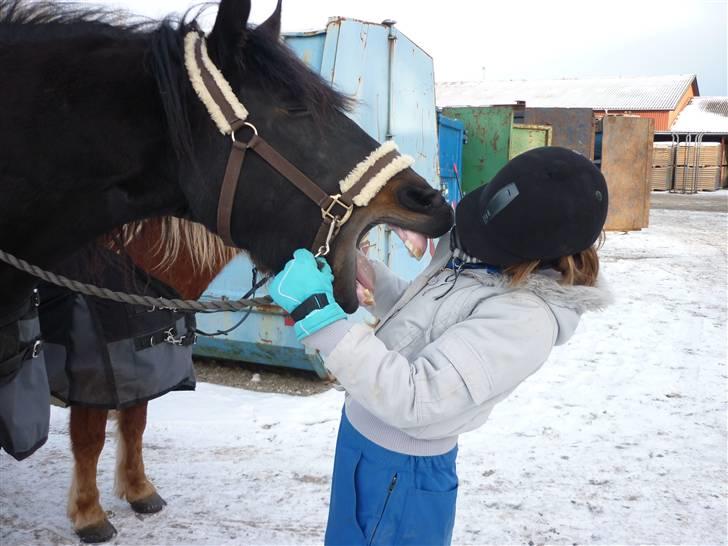 Frieser .- My Fear Lady -. - árrh jeg spiser diig :P billede 8