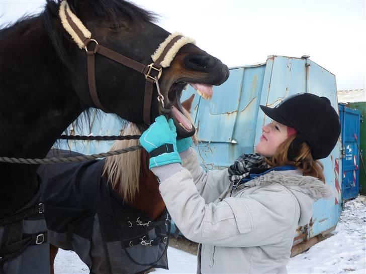 Frieser .- My Fear Lady -. - hold da op hun er træt haha billede 12