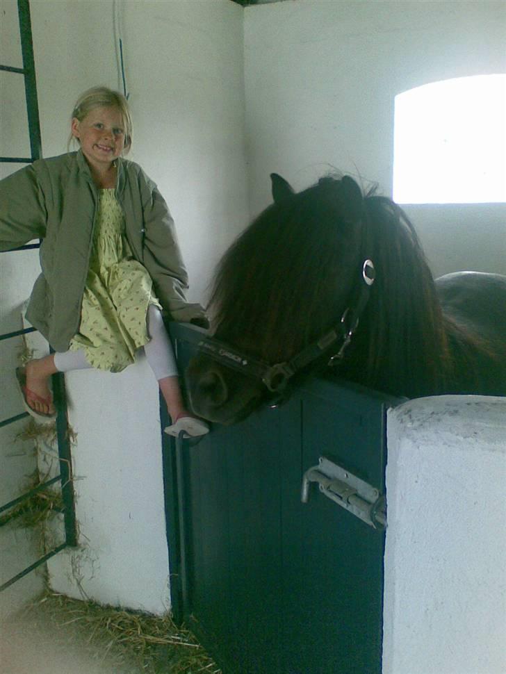 Anden særlig race Pedro - Pedro og Maria. Foto: Mig billede 13