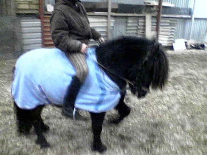 Anden særlig race Pedro - Pedro og Anna(: Foto: Mig billede 14