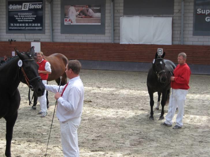 Oldenborg Lillegårdens Lea  ol 579 billede 17