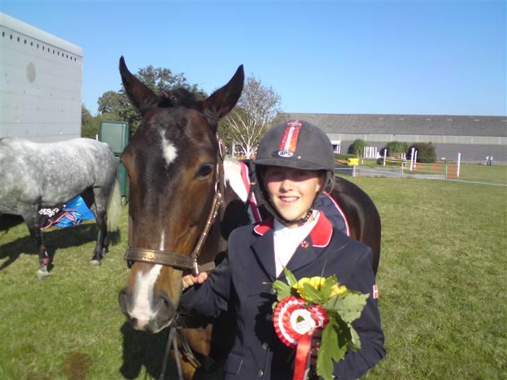 Anden særlig race Hesteklewa Jupitor (Solgt) - *1* billede 7