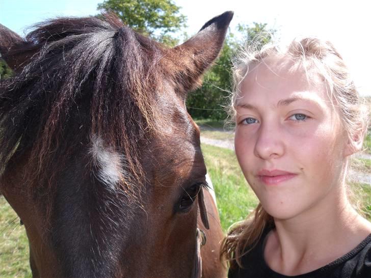 Anden særlig race Hesteklewa Jupitor (Solgt) - LOOOOOVE<3 billede 9