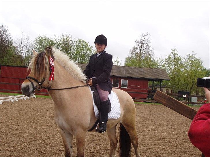 Fjordhest Mastrup Ally  - Mig og Ally vandt LD1 8/5-10 Foto: Mor billede 9